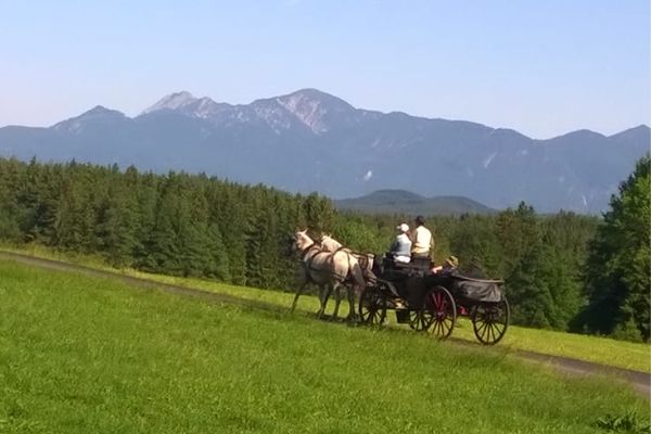 bavaria2