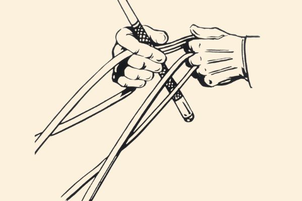 reins