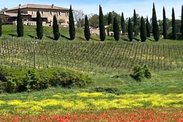 tuscan
